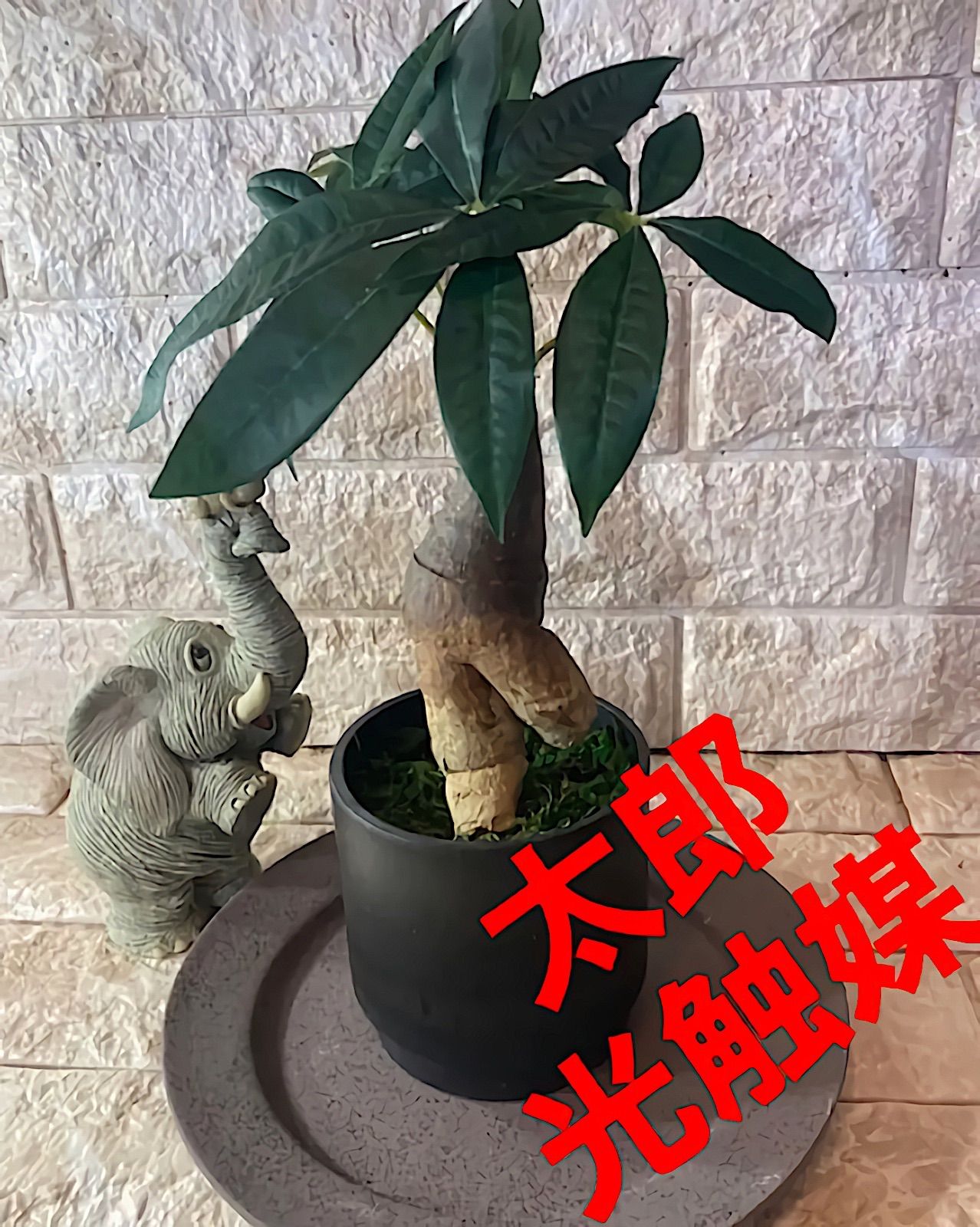 光触媒人工観葉植物ウォールグリーンフェイクグリーンジャイアントツリー