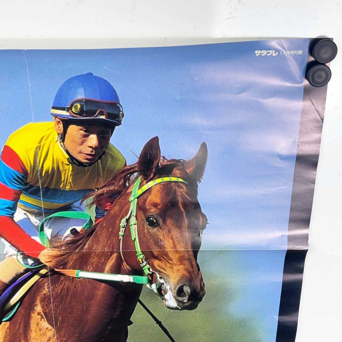 4点セット] 競馬 JRA ポスター ナリタブライアン アグネスタキオン