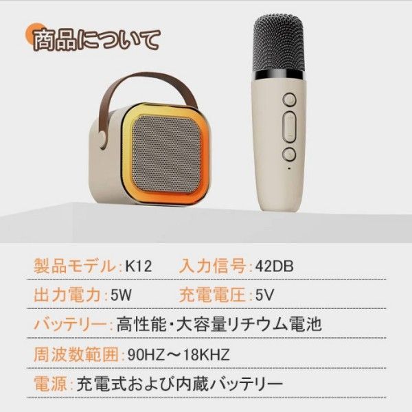 カラオケマイク2本充電器 ワイヤレスマイク2本セット｜カラオケDAM｜第