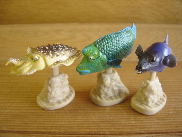 ♯Gpi22EJ地球生命紀行ウミガメ＆さんご礁を彩る生き物人気7種亀 ♯Gpi22EJ地球生命紀行ウミガメ＆さんご礁を彩る生き物人気7種亀
