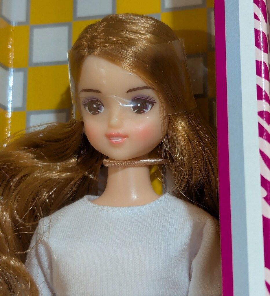 2015年9月DS44モデル 11248