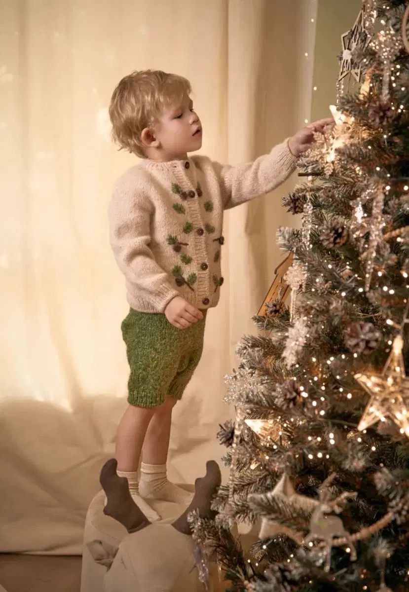 25 年 クリスマス 予約します