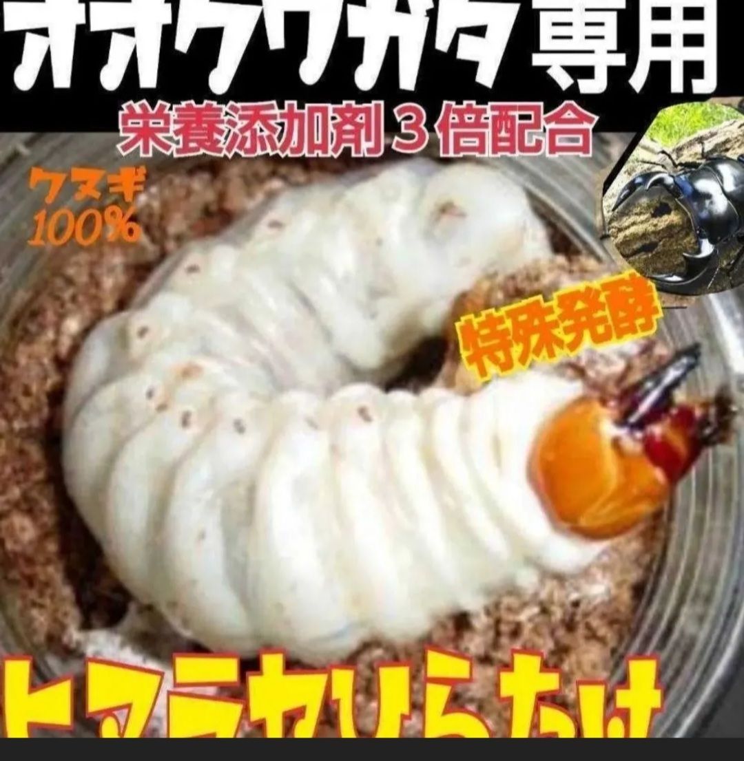 オオクワガタ専用☆超高カロリーマット【40リットル・4袋】生オガを