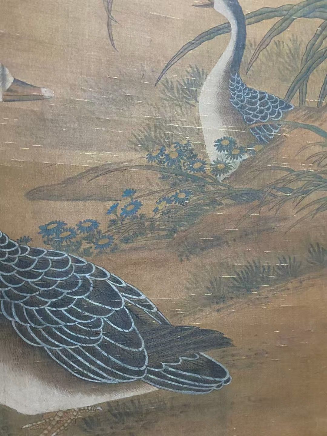 中国古美術.精品三尺中堂画.宋徽宗花鳥画.手描きの作品.実物撮影