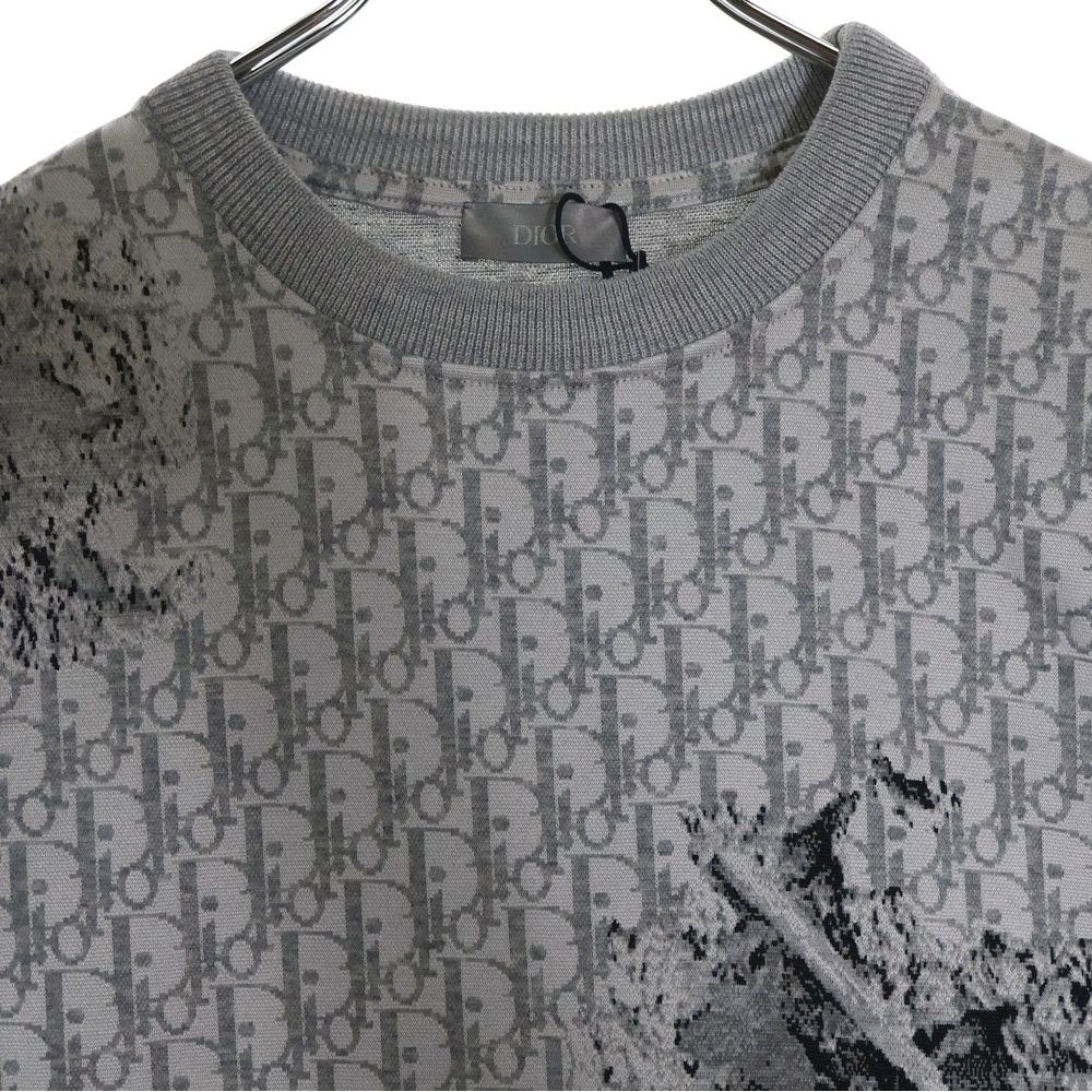 Dior 20SS DANIEL ARSHAMロゴプリントクルーネックスウェット DIOR SS20 Daniel Arsham Faded 3D Logo Print Crewneck
