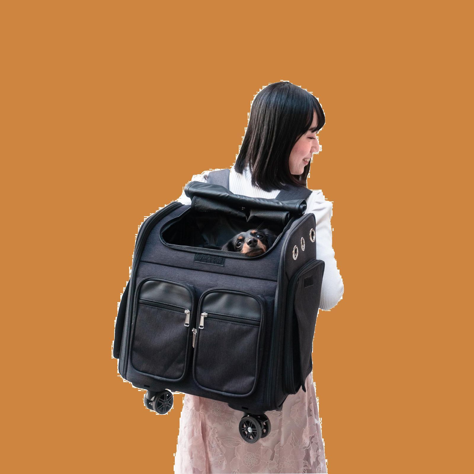 新着商品】StarShell おでかけペットキャリー 防災 避難用にも