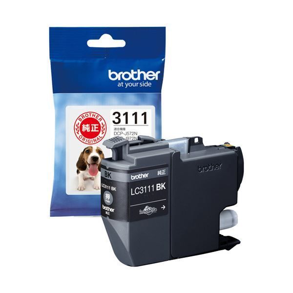 工場 C32）茶道具 坂本正春 棗（なつめ）時鳥 ホトトギス