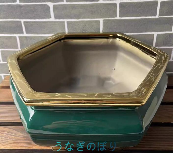 青磁底付き六角鉢 盆栽鉢 植木鉢 小品盆栽鉢 大品盆栽鉢 六角鉢 盆栽鉢 植木鉢 小品盆栽鉢 大品盆栽鉢 陶磁器 青磁底付き