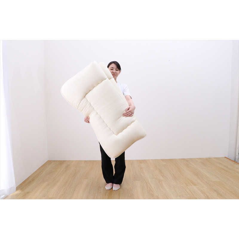 【 新品 未開封 】 イケヒコ 丸ごと洗える敷ふとん イリス (約120×210cm/ベージュ) 未使用 送料無料