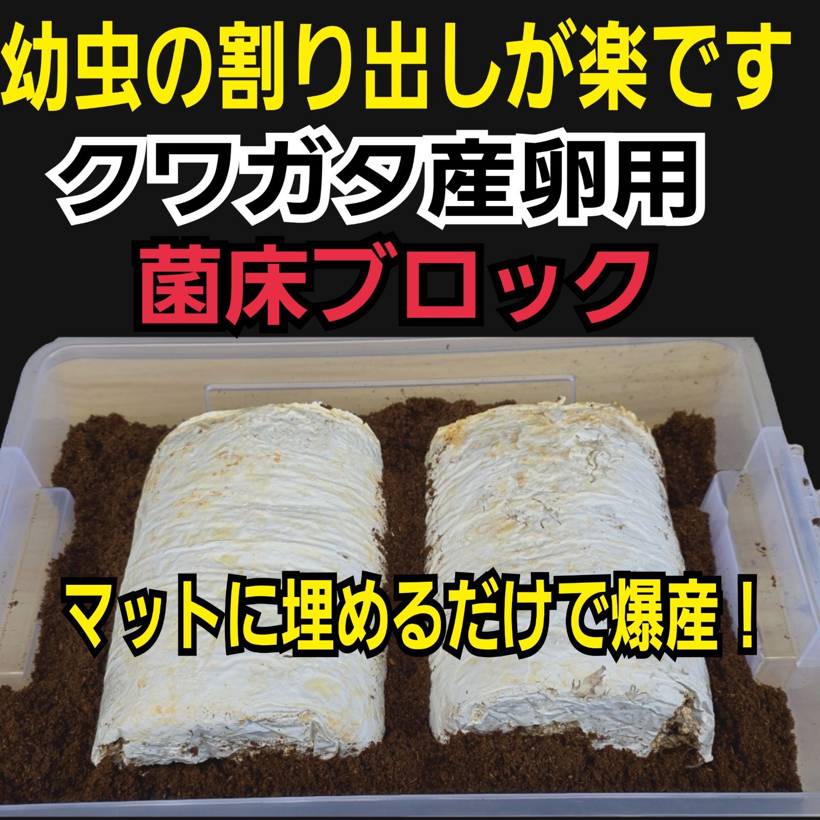 昆虫用品 カブトムシ幼虫の栄養強化に！マットに埋めるだけ