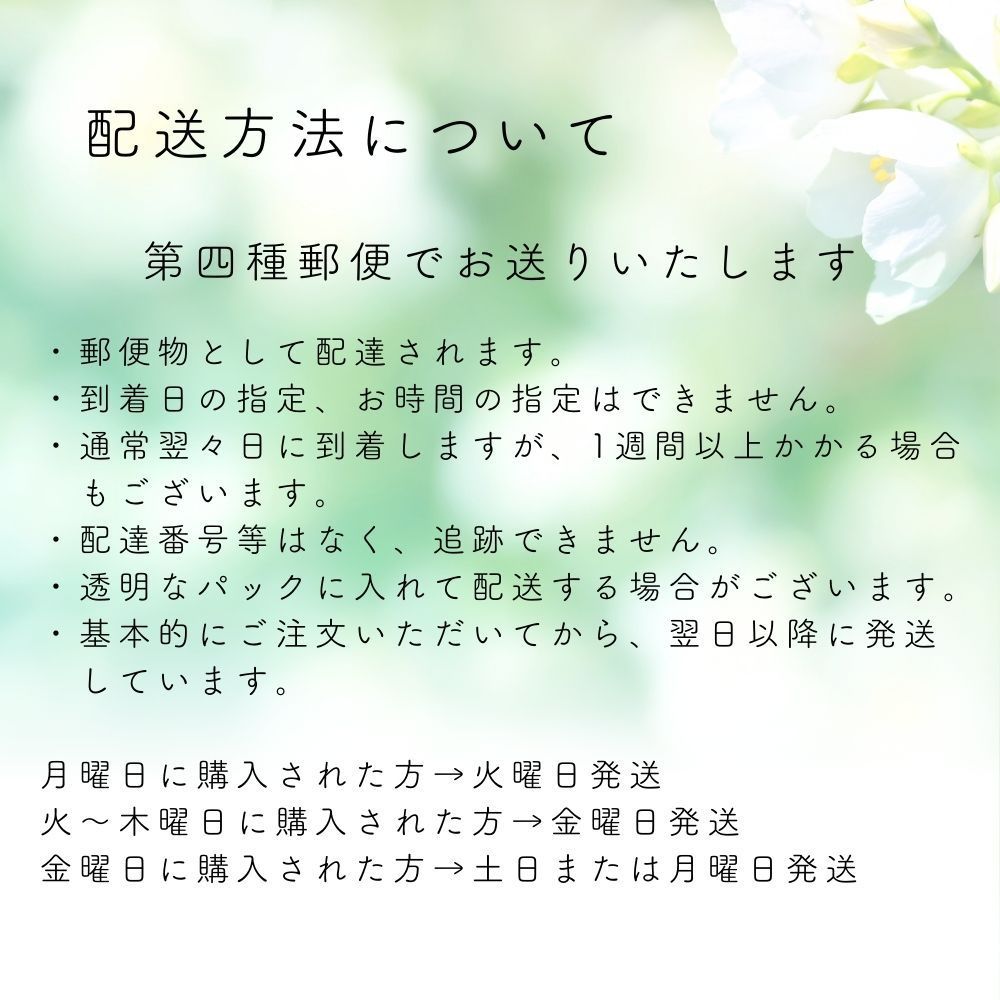 エアプランツ 【おまかせ3種類 Sサイズ】 チランジア エアープランツ