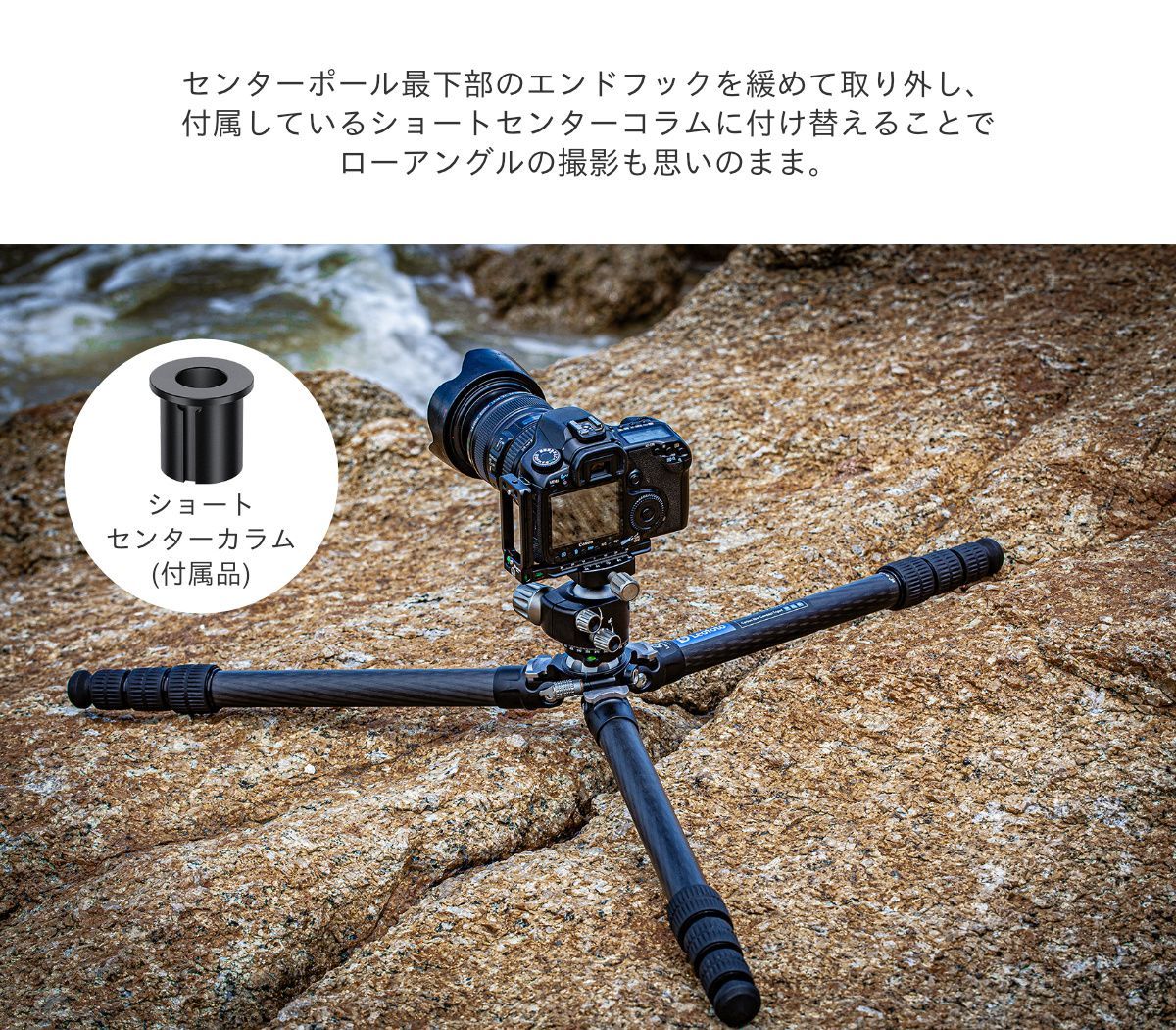 レオフォト