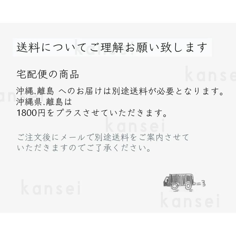 15.6インチpc収納可 旅行