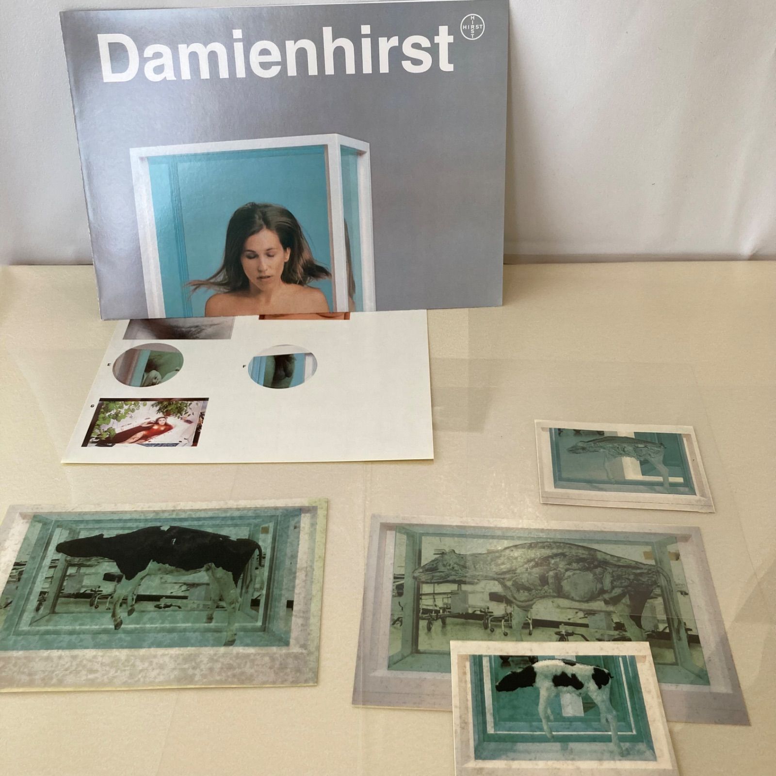 Damienhirst ダミアン・ハースト作品集 洋書 写真集 コンテンポ