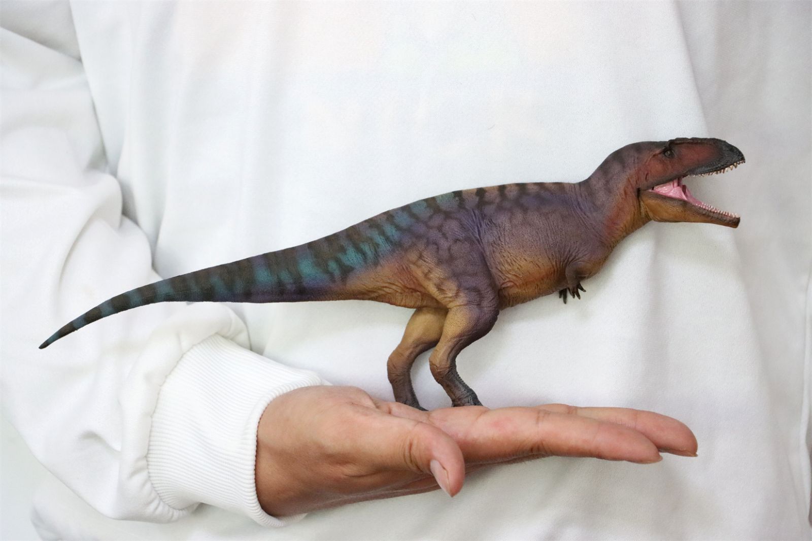 PNSO 成長シリーズ 83 ティラノティタン フィギュア 獣脚類 恐竜