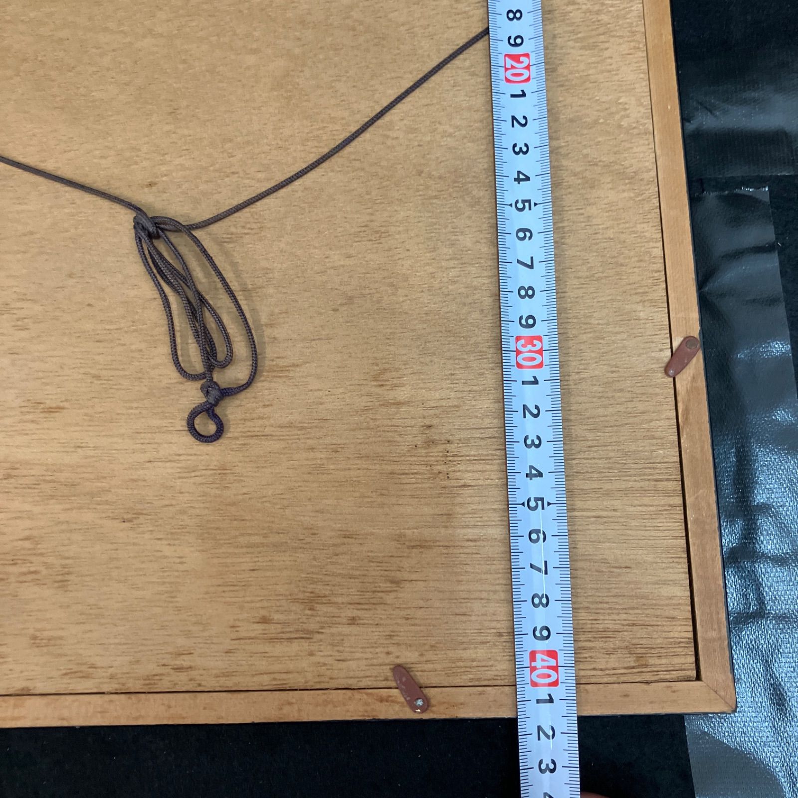 額 武者小路実篤 肉筆画 林檎のある静物 幅約38.5cm 縦約41.5cm