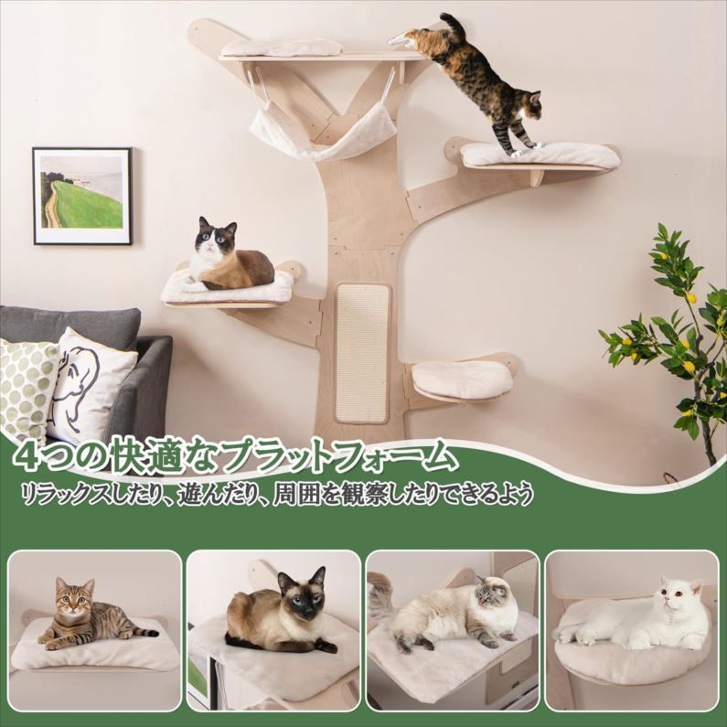 爪とぎ 遊び場