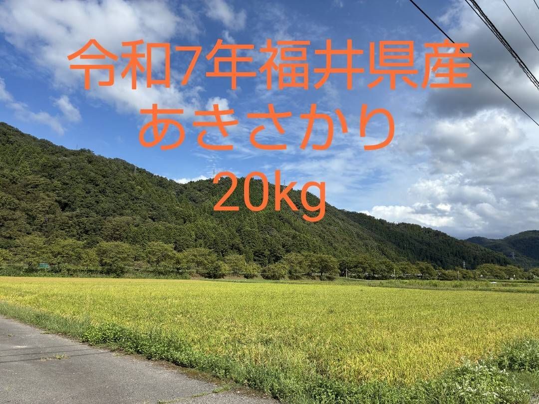 新米 あきさかり玄米20キロ 精米します
