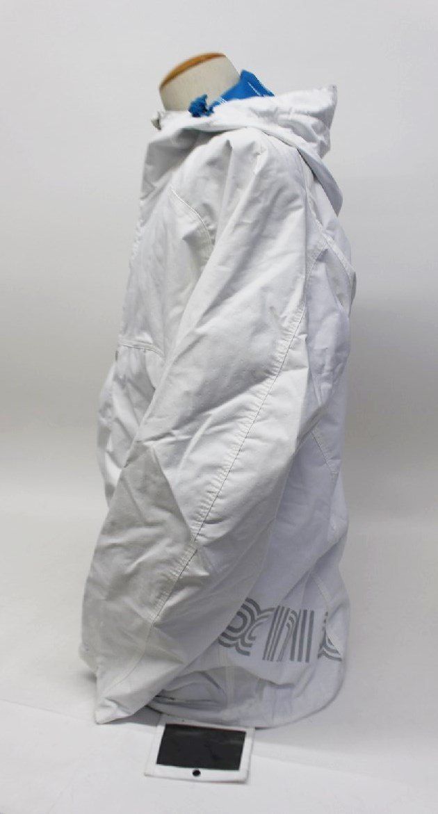 スノーホワイト　 White 子株 Snow White Sensation Mock Orange (Philadelphus 'Snowwhite Fantasy