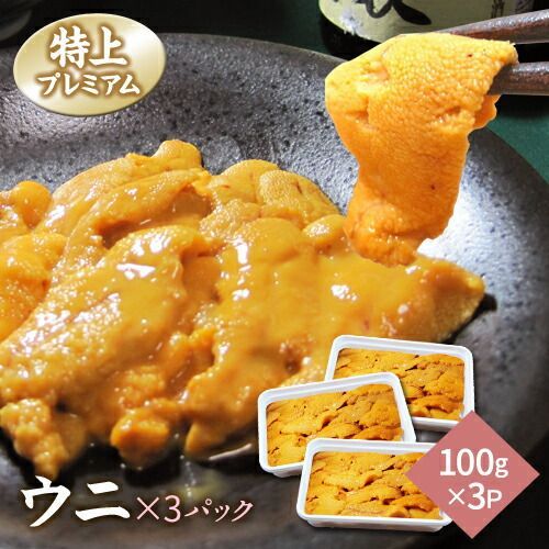 特上 ブランチ ウニ無添加冷凍100ｇｘ3雲丹ミョウバン無甘くてとろける食感送料無料