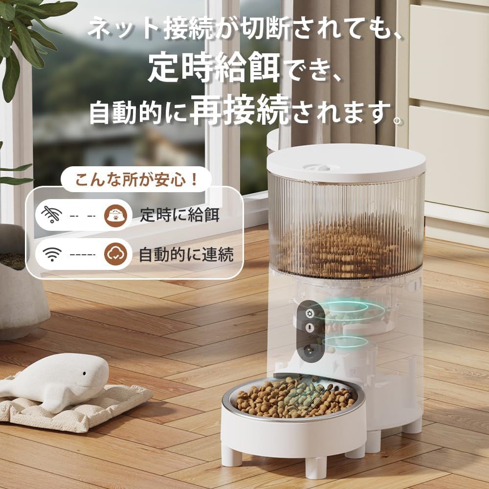 3L 留守番