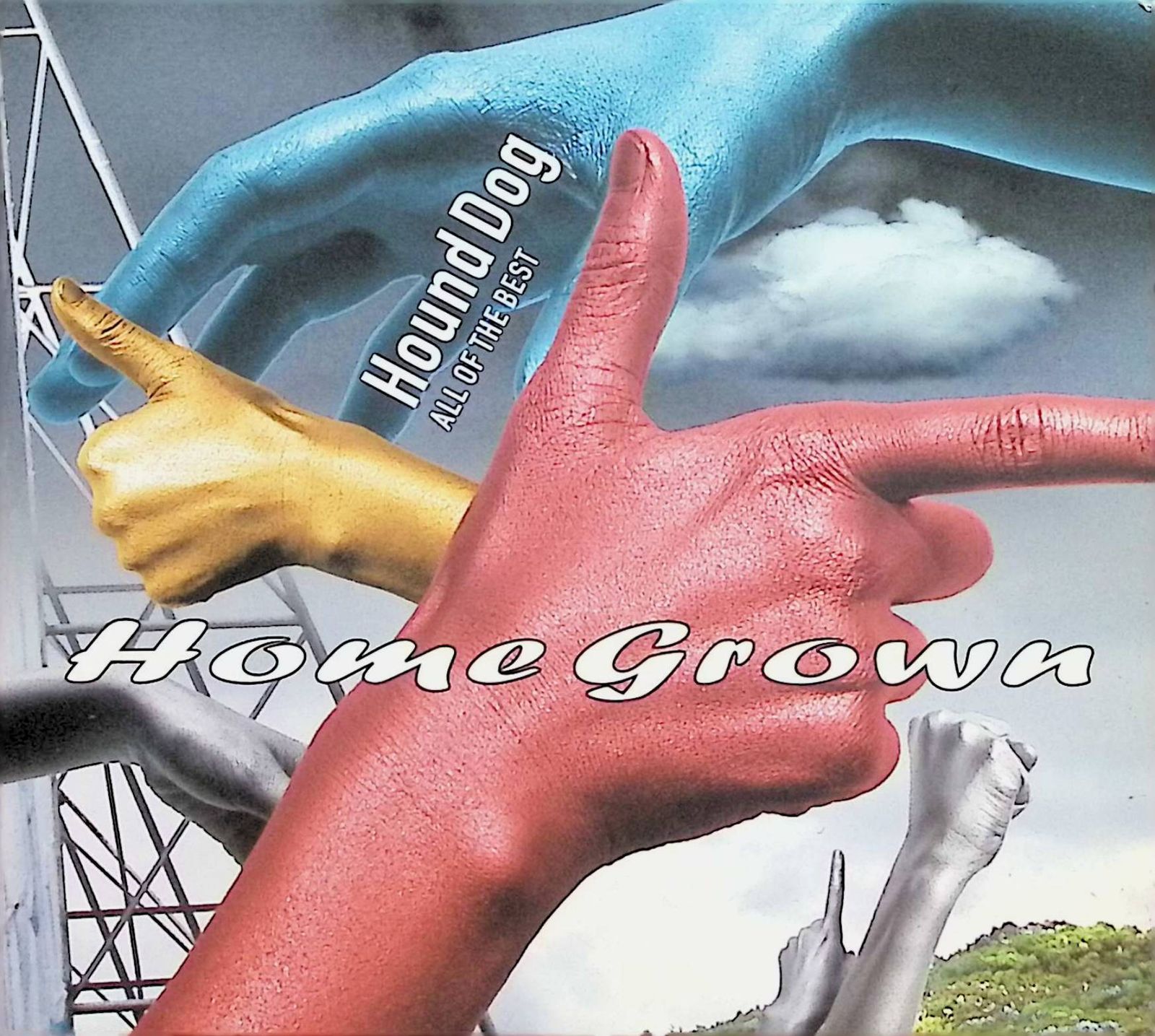 ハウンドドッグ★ホーム　★HOME GROWN★ベスト★Best★アルバム ザ・ベスト : HOME GROWN | HMV&BOOKS online - PCCA-2463