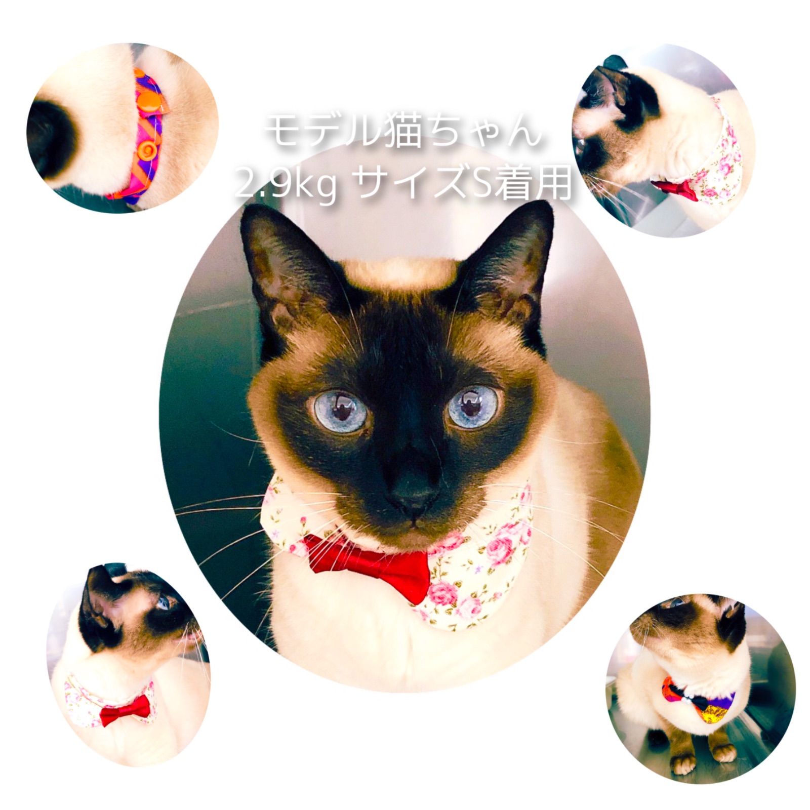 恐竜柄犬スタイ猫スタイウサギスタイ 小型ペット用よだれかけ