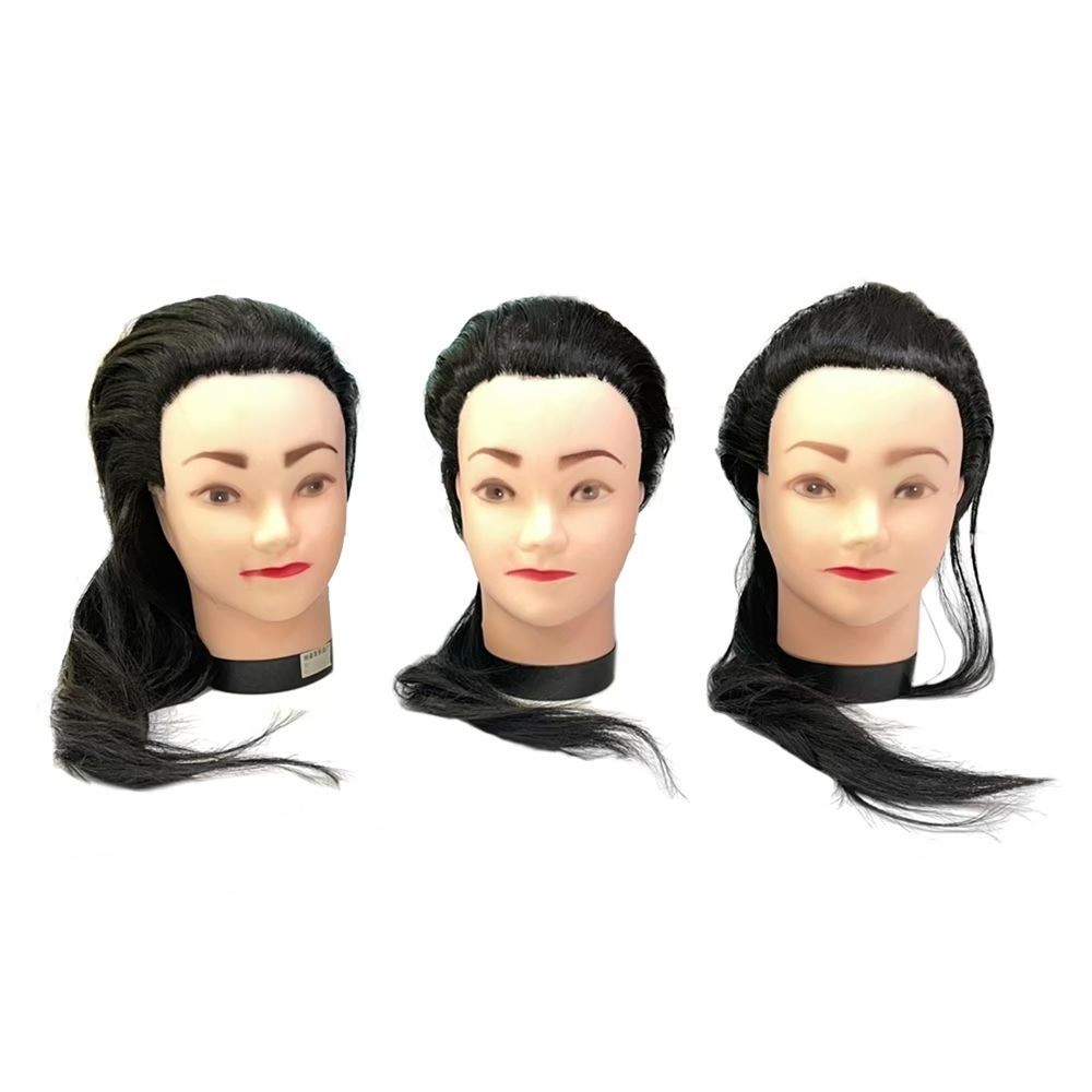 国家試験 カットウィッグ 練習用 3体まとめ売り 2025年最新国家試験