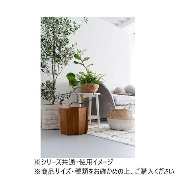 東谷 ウッドプランターS