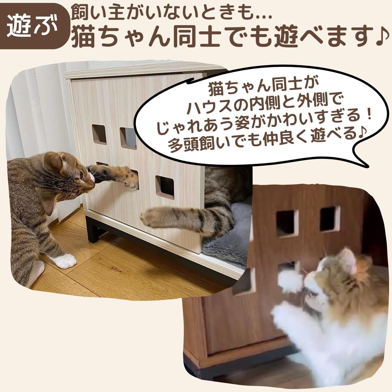 多頭飼い