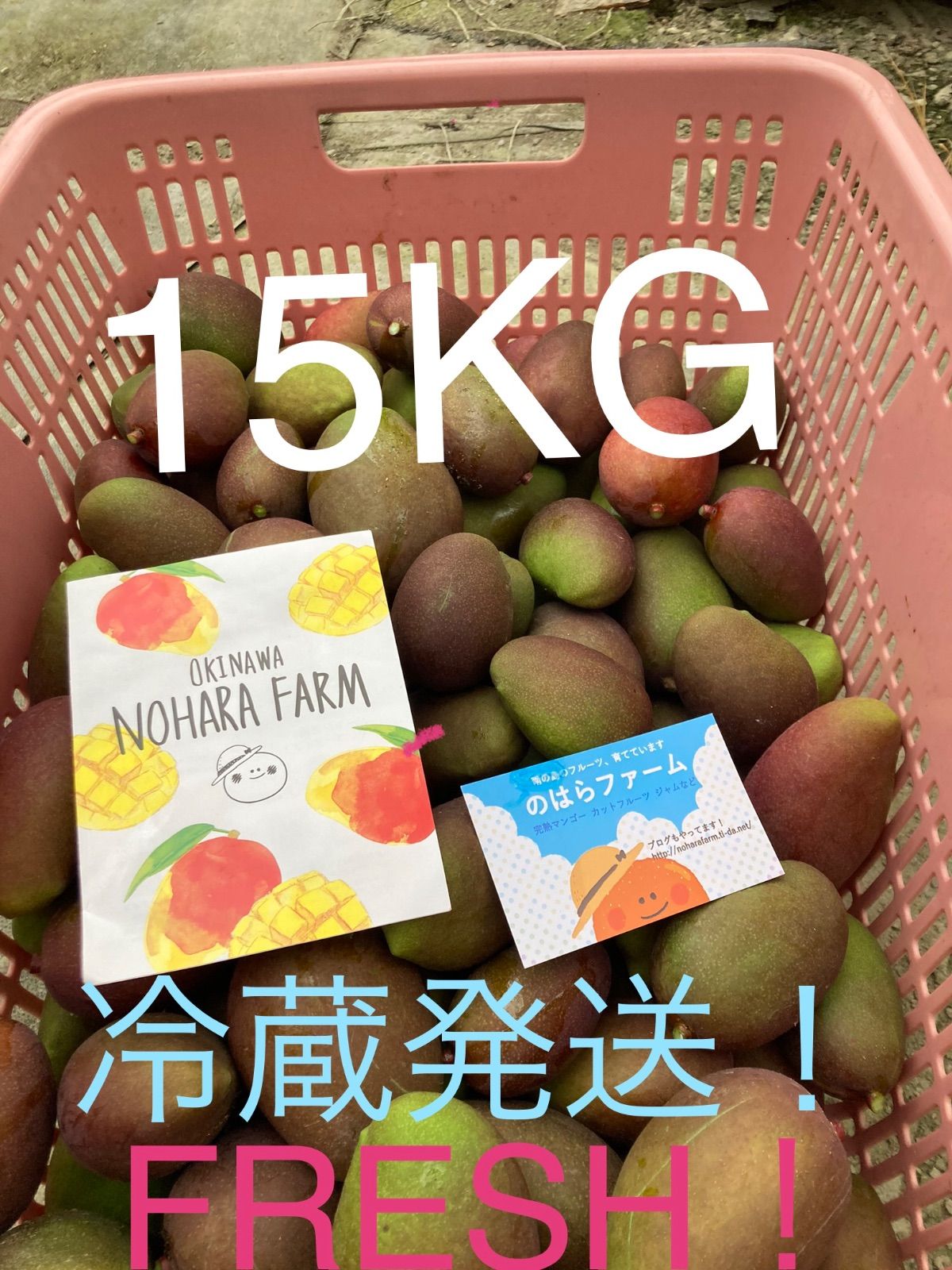 宮崎県産摘果マンゴー グリーンマンゴー 20kgグリーンマンゴー