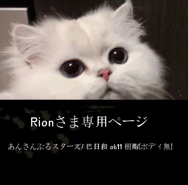 Rionさま専用ページ あんさんぶるスターズ! 巴日和 ob11 樹脂[ボディ無]21+17+7+6