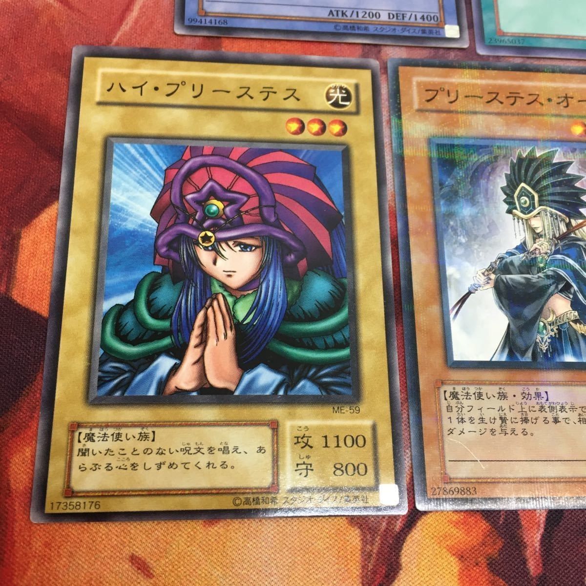 YK230224-1461 ハイ・プリーステス オーム 精霊術師 ドリアード