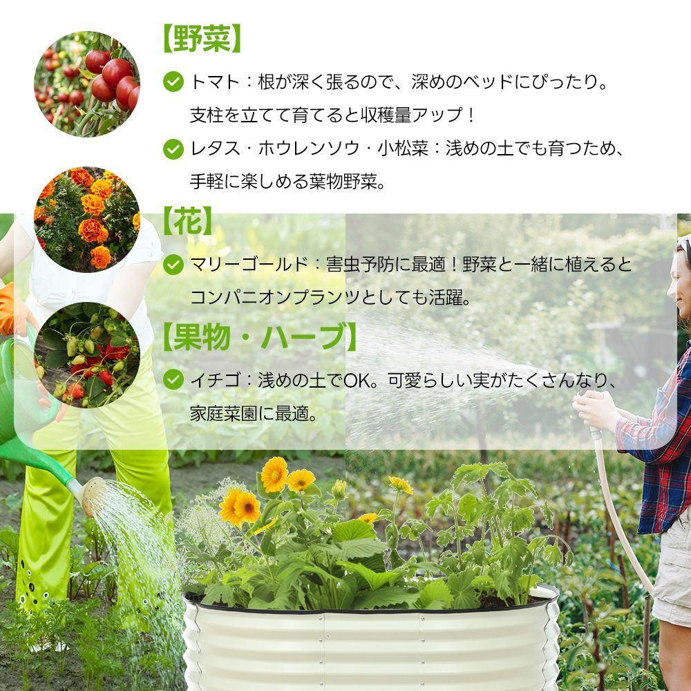 ｜野菜
