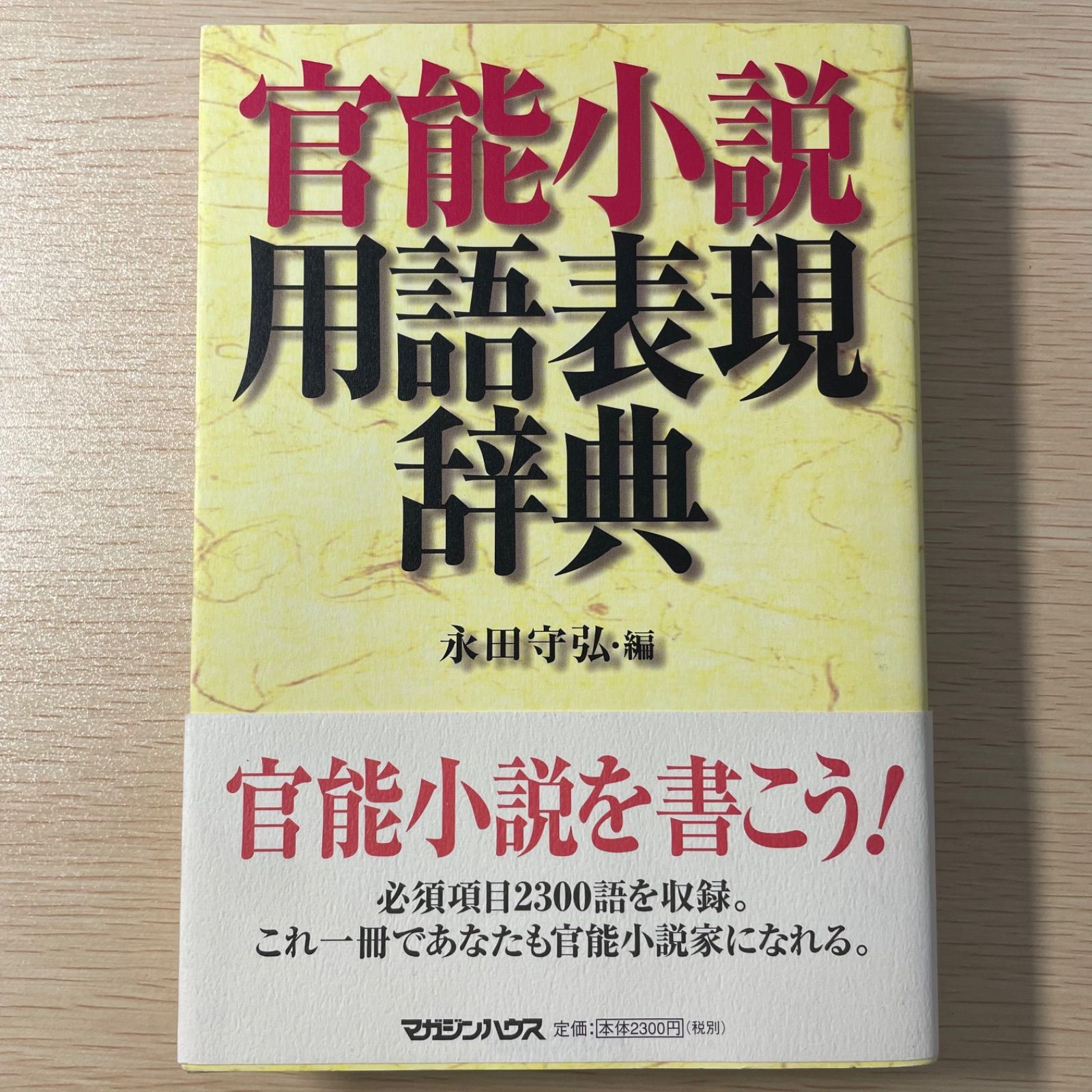 官能小説用語表現辞典 - メルカリ