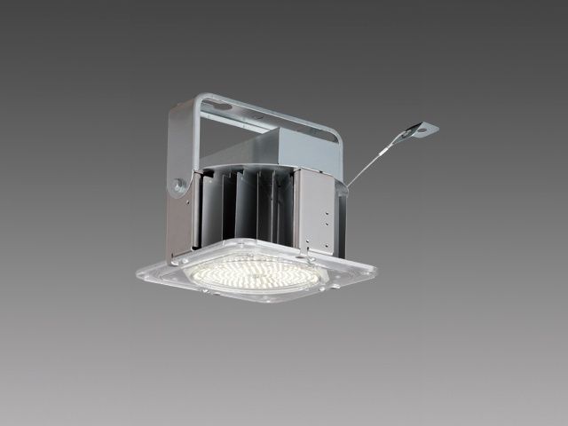 三菱 MITSUBISHI LED照明器具 EL-GT30112N|W 2AHTN RGモデル クラス3000 200-242V 50|60Hz 昼白色 5000K