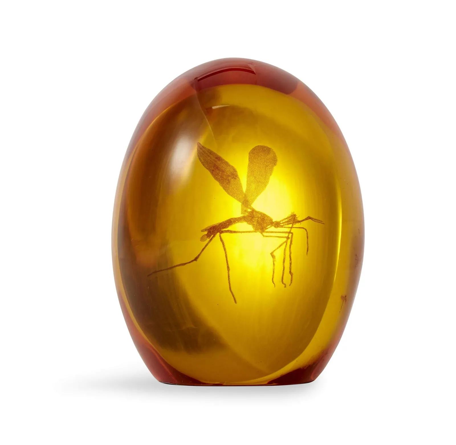 2025年最新】映画ジュラシックパーク琥珀の人気アイテム - メルカリ