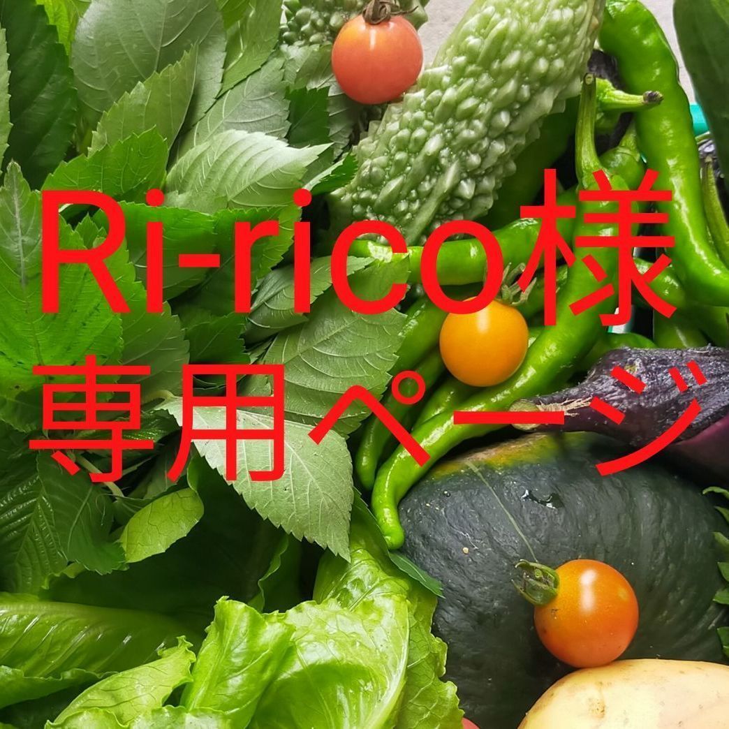 Ri-rico様専用 - 岐阜の無農薬野菜 - メルカリ