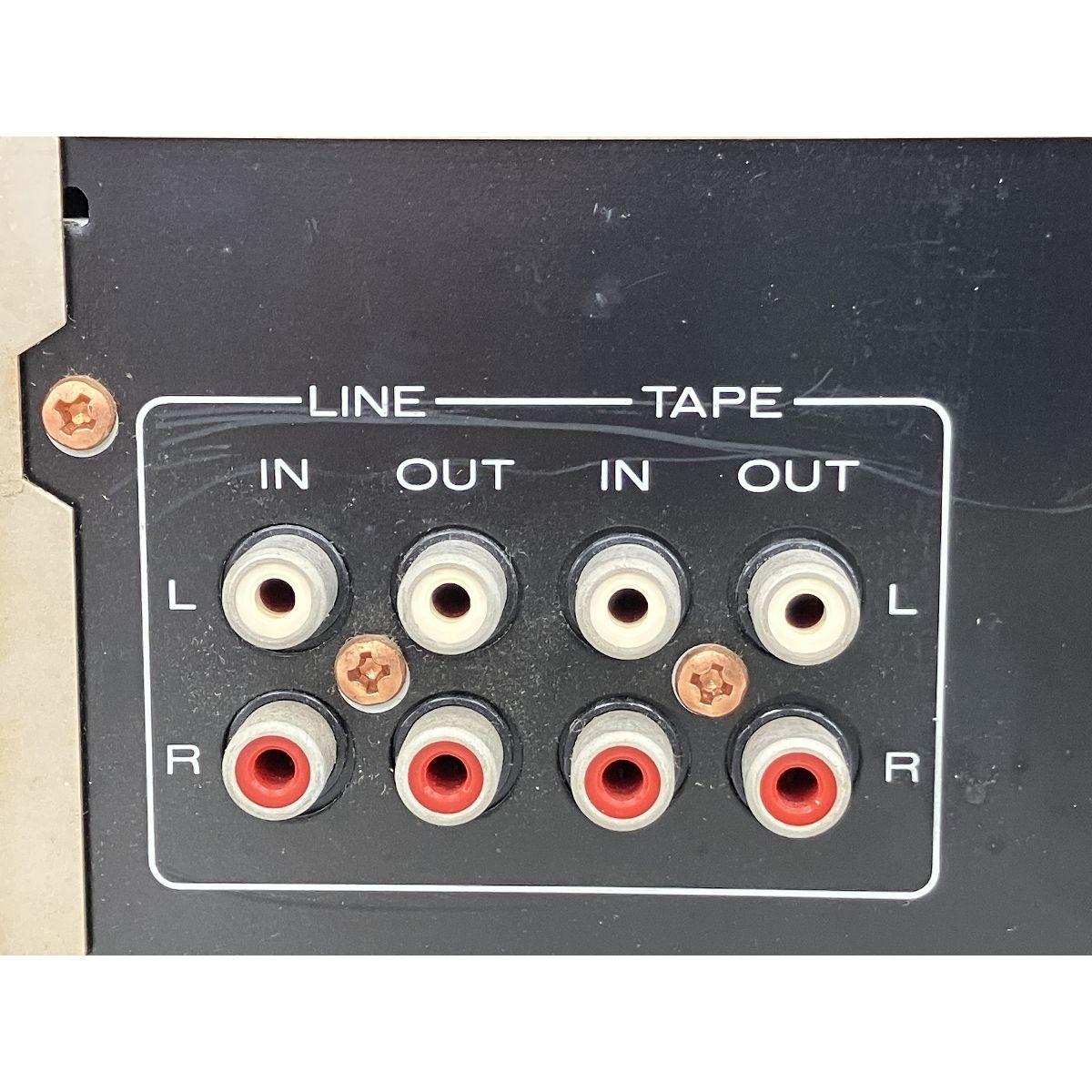 F グラフィック