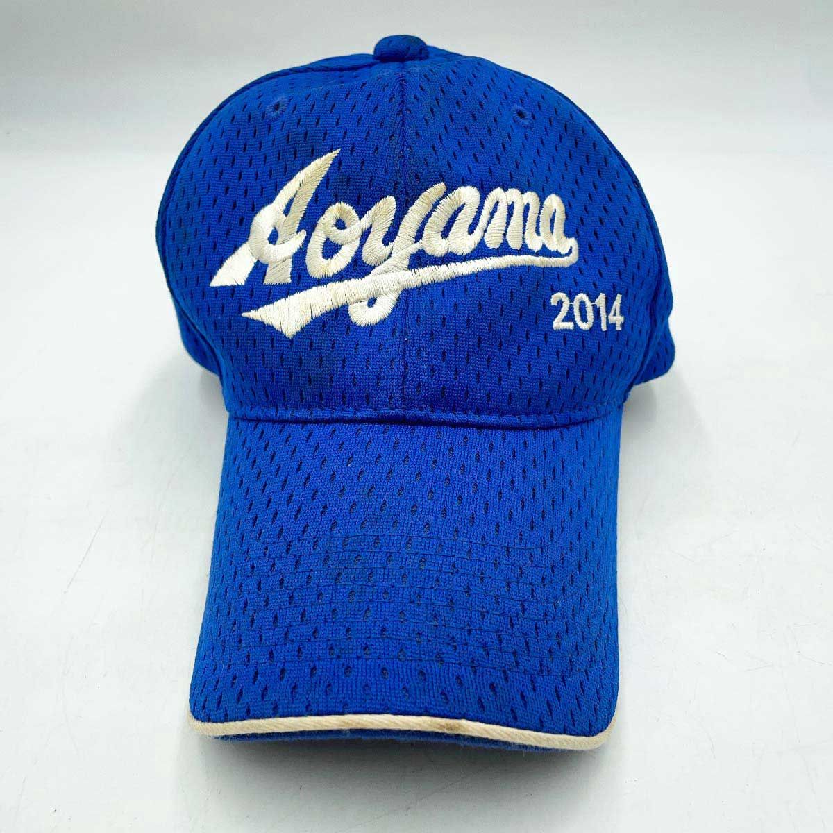 青山学院大学 硬式野球部 2014年 キャンプ 帽子 キャップ 東都大学野球