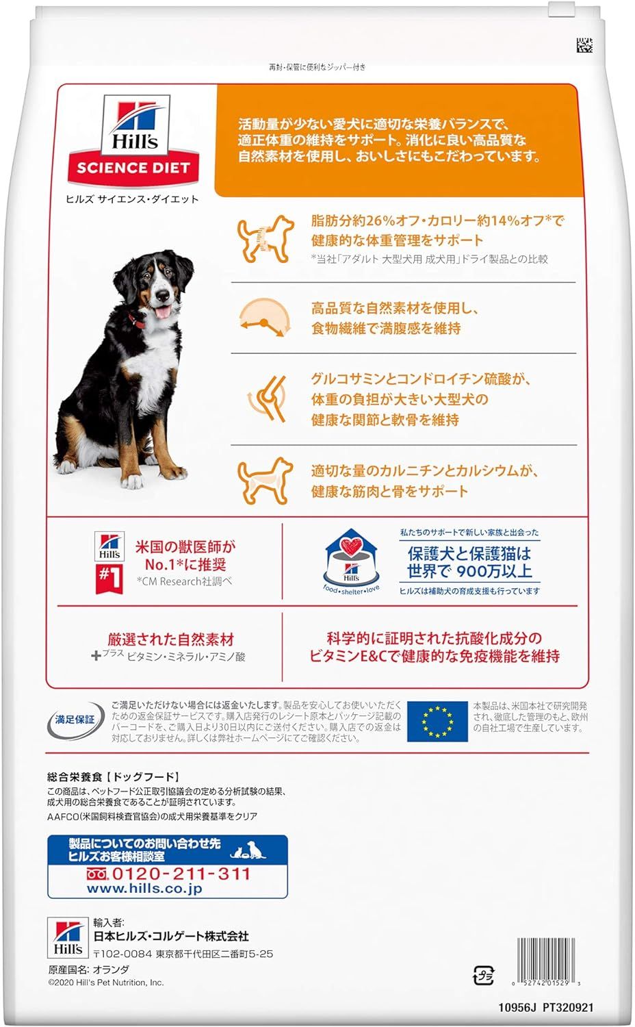 ドライ 肥満