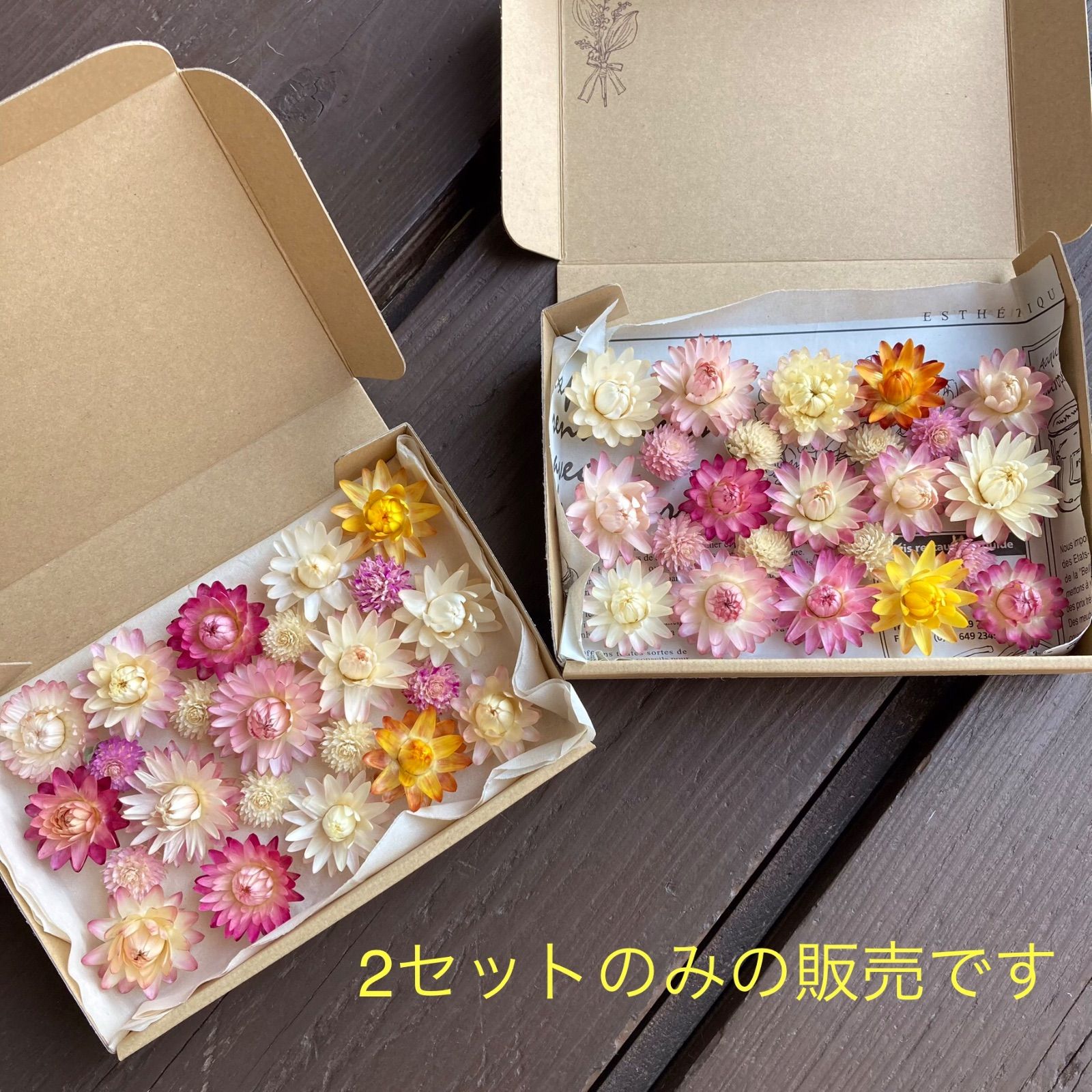 大きめ美品 ヘリクリサム(貝細工)とセンニチコウ ドライフラワー 花材