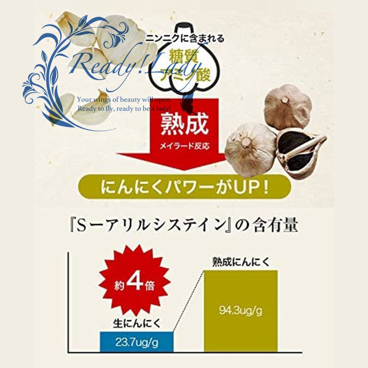黒にんにく発酵器 最大発酵容量2kg カゴ付き 自家製 ご自宅で簡単に発酵黒にんにく ヨーグルト|納豆|キムチ|フルーツワイン対応 煮込み