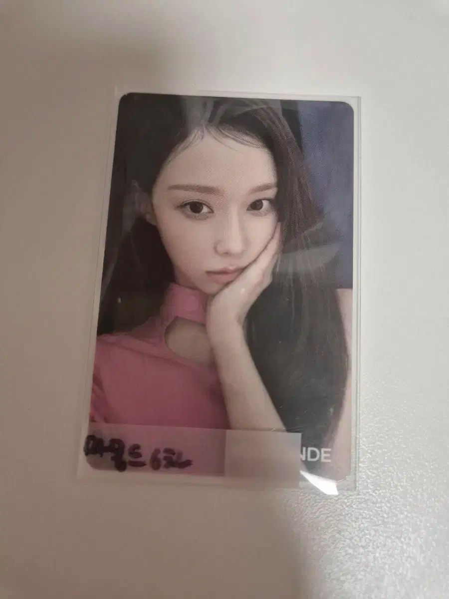 aespa マグネット トレカ マモンド aespa(エスパ) ウィンター(WINTER