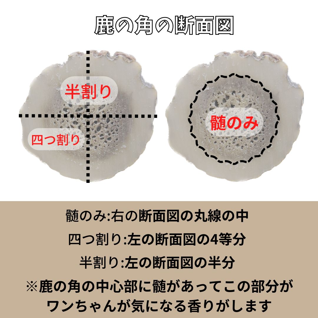 Makani様専用【おまとめ100円引き】🐶 髄のみ✓4本セット🐕歯が心配な子、初めての子用🦌北海道産エゾ鹿の角🦌犬のおもちゃ🐕超小型犬、小型 犬用、小〜中型犬用🐕 - メルカリ