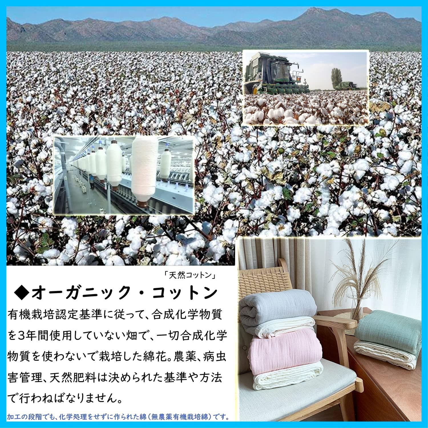Vanxing