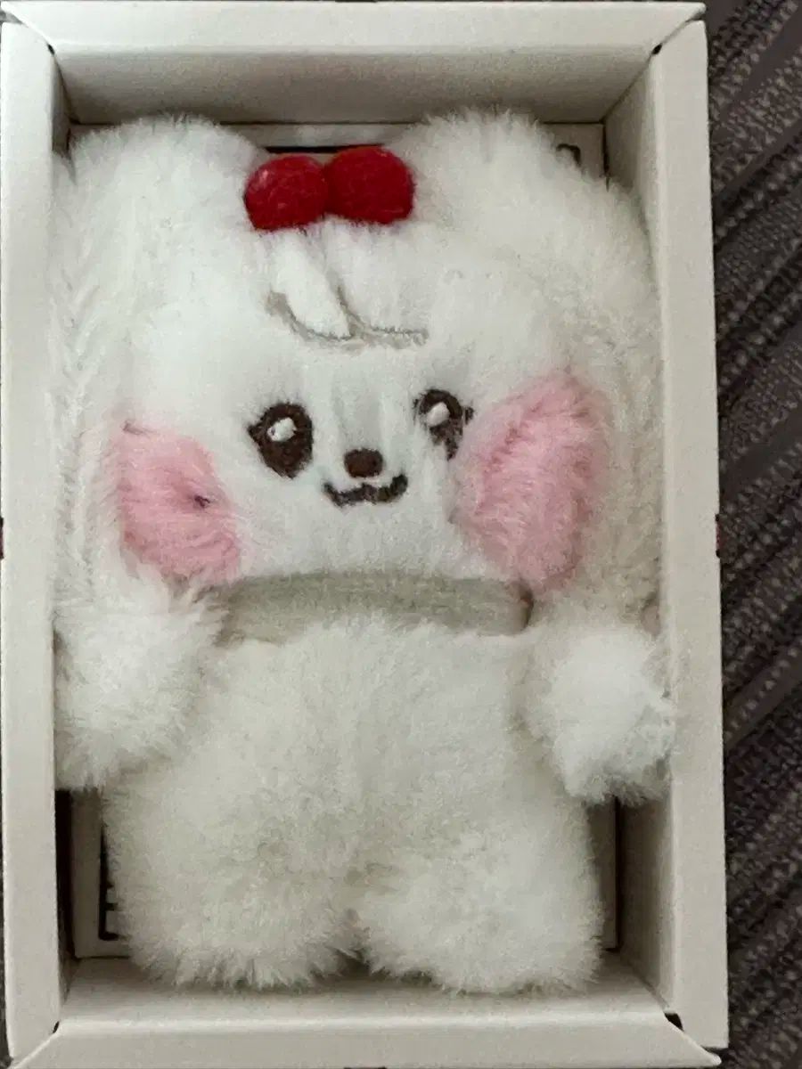 IVE minive cherry チェリー ウォニョン ぬいぐるみ ive minive