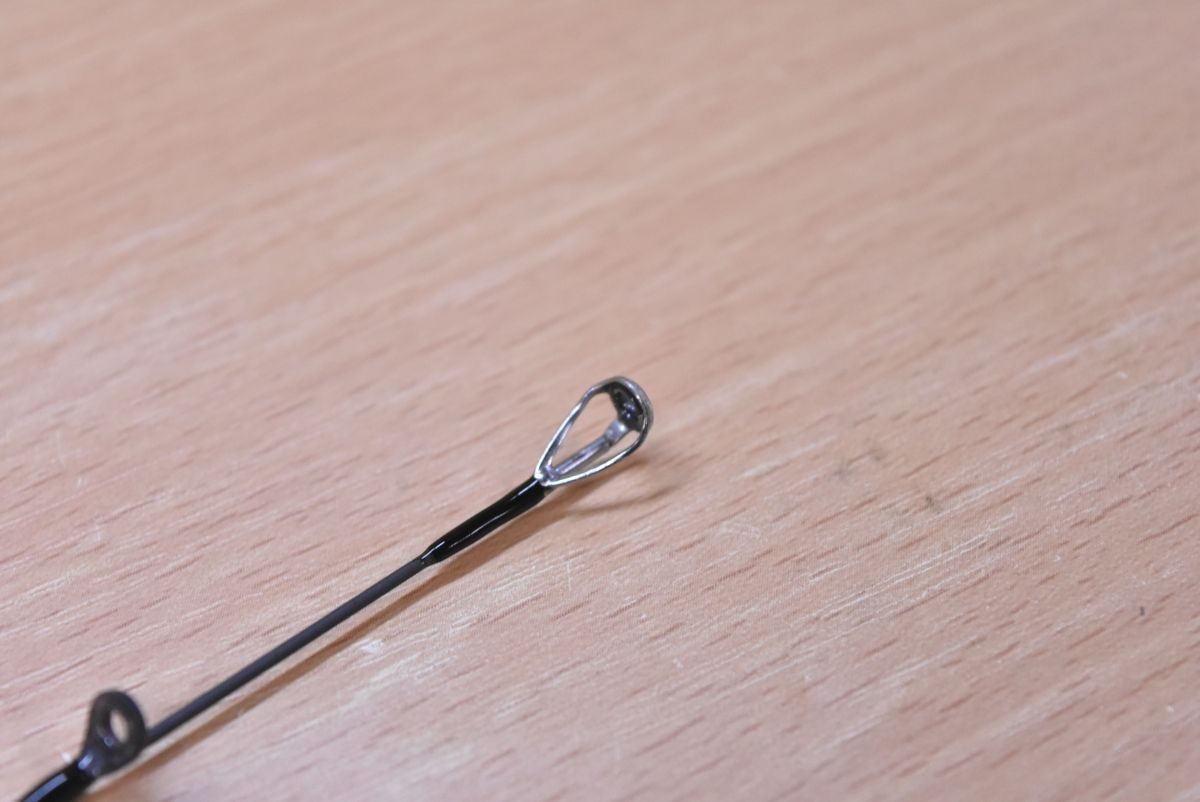 アオリイカ 釣り