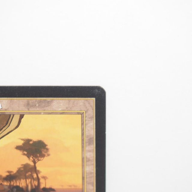 MAGIC The Gathering MTG 吹きさらしの荒野/Windswept Heath