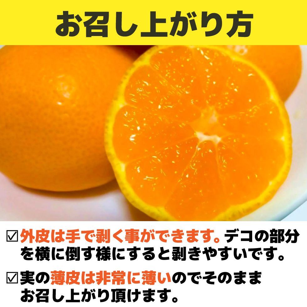 のサムネイル